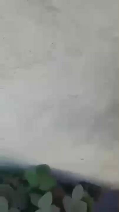 Video Lagi Maen di Rumah Yang di Bongkar di Rekam Sama Orang