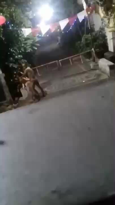 Video Doggy Di Portal Komplek