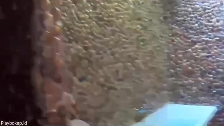Video Ngentot Sama Tante Croot Di Dalam