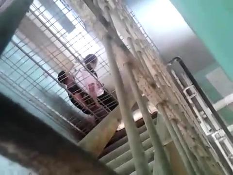 Ngintip anak sma ngentot dijenjang sekolah