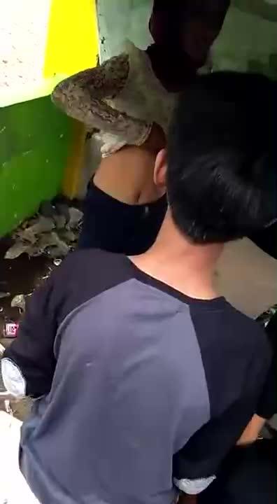 Video Digrepe-grepe ABG Nakal
