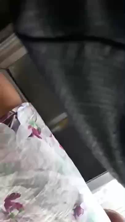 Video Intip Cd Bunga Bunga