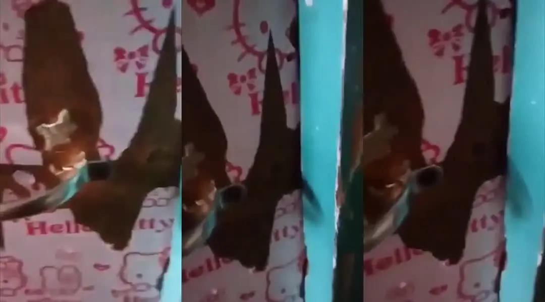 Bokep Indo Cewe Bertopeng Colmek Terus Ngewe