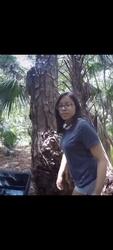 Viral! Ngentot di Kebun
