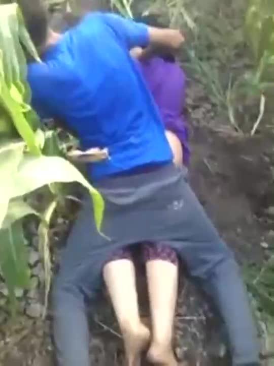 Video Tercyduk Mesum di Kebun Jagung