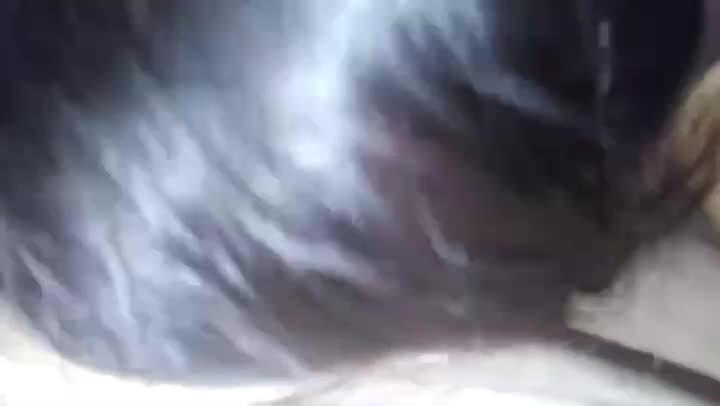 Video Emuttttin Aj Banggg Backsound Unjuk Rasa
