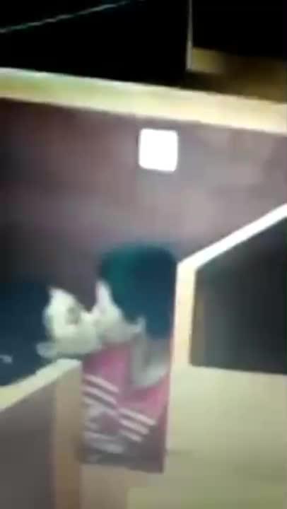 Video Ngintip Di Warnet Sepi Ciuman Dan Ngisep