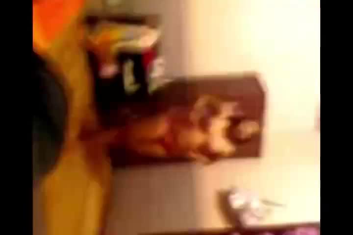 Video Abg Di Kamar Gang Dolly