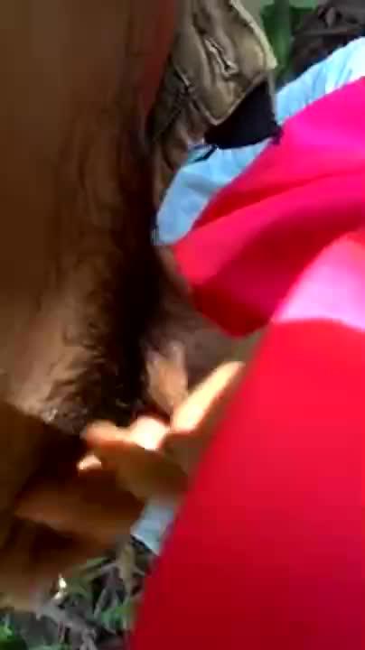 Video Remaja Kulum Penis Pacar di Hutan