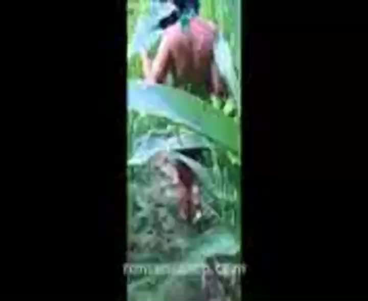 Video Pasangan Ngentot dikebun Jagung