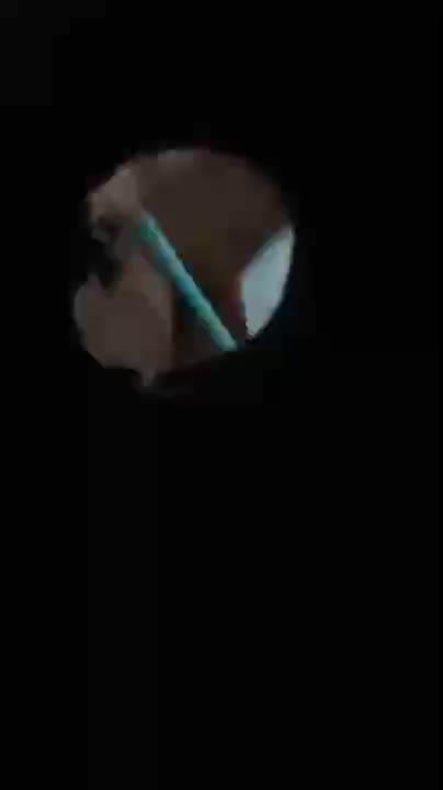 Video Ngintip Pembantu Sikat Wc