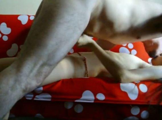 Bokep Indo Video Sex Streaming ABG ML Habis Mandi
