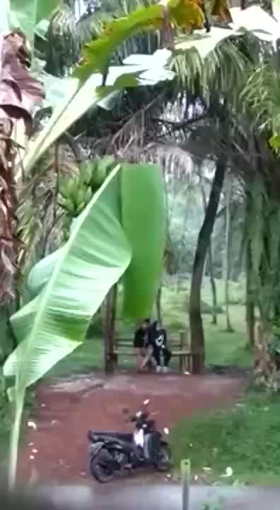 Video Pacaran Di Kebon Terekam
