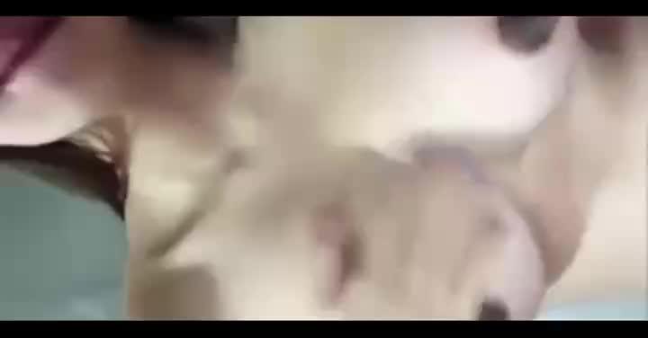 Video ABG Cantik Mulus Show di Webcam