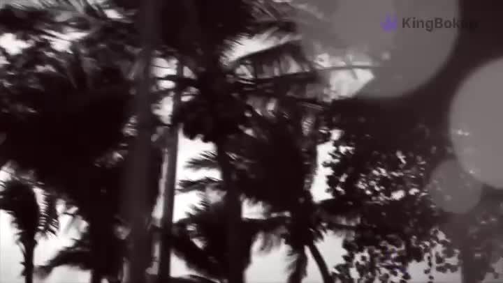Video ASD Fina: Shoot