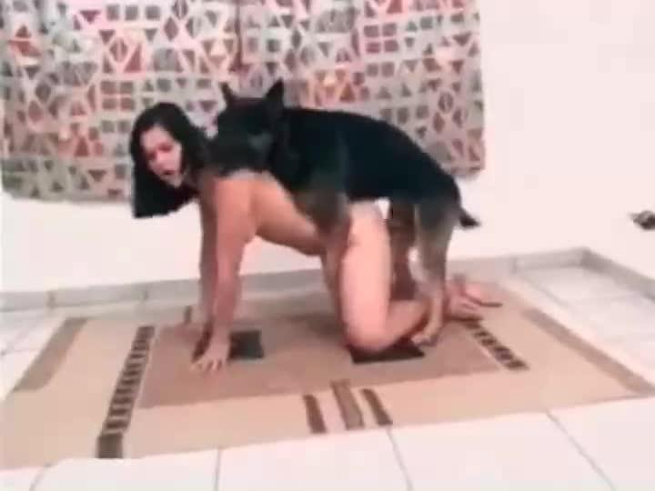 Video Cewek Horny ML Sama Anjing